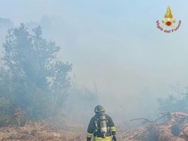 Incendio di vegetazione alle porte di Roma, evacuate alcune abitazioni a Castel Porziano