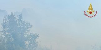 Incendio di vegetazione alle porte di Roma, evacuate alcune abitazioni a Castel Porziano