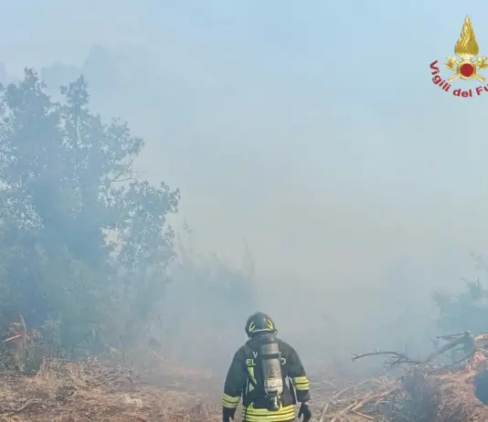 Incendio di vegetazione alle porte di Roma, evacuate alcune abitazioni a Castel Porziano