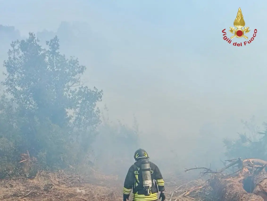 Incendio di vegetazione alle porte di Roma, evacuate alcune abitazioni a Castel Porziano