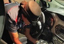Controlli alla movida di Roma: 14 arresti e sequestrati 15,5 kg di droga