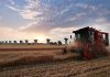 Cina: raccolta del grano in corso nello Henan (2)