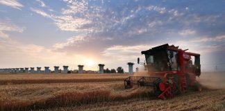 Cina: raccolta del grano in corso nello Henan (2)