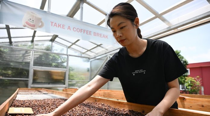 Cina: Jiangmen, patria dei cinesi d’oltremare, punta su industria del caffè (2)