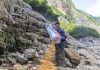 Cina: a Wushan istituite quattro aree di foraggiamento per i macachi (1)