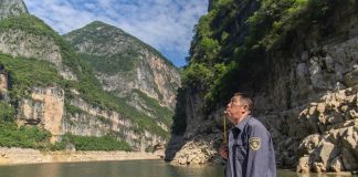 Cina: a Wushan istituite quattro aree di foraggiamento per i macachi (2)