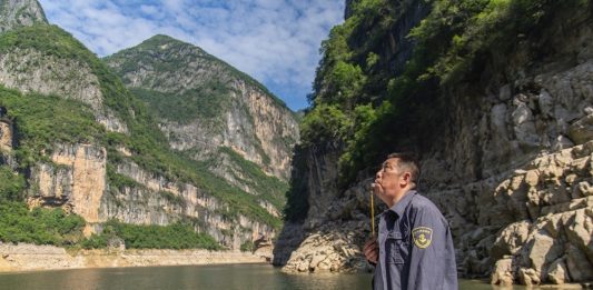 Cina: a Wushan istituite quattro aree di foraggiamento per i macachi (2)