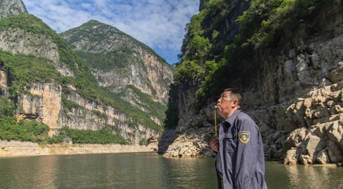 Cina: a Wushan istituite quattro aree di foraggiamento per i macachi (2)