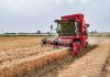 Cina: Anhui, fattoria smart usa tecnologie per monitoraggio e raccolta grano (1)