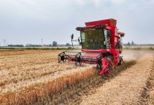 Cina: Anhui, fattoria smart usa tecnologie per monitoraggio e raccolta grano (1)