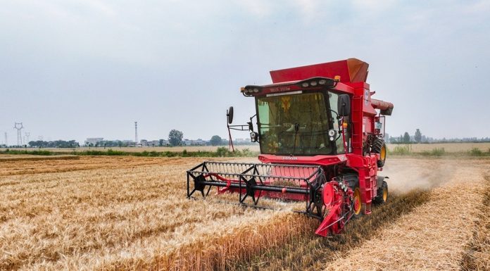 Cina: Anhui, fattoria smart usa tecnologie per monitoraggio e raccolta grano (1)
