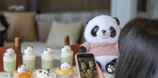 Cina: centro sulle origini del panda gigante offre cultura e divulgazione (1)