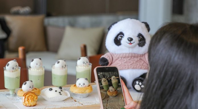 Cina: centro sulle origini del panda gigante offre cultura e divulgazione (1)
