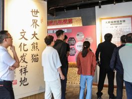 Cina: centro sulle origini del panda gigante offre cultura e divulgazione (2)