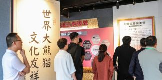 Cina: centro sulle origini del panda gigante offre cultura e divulgazione (2)