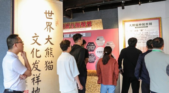 Cina: centro sulle origini del panda gigante offre cultura e divulgazione (2)