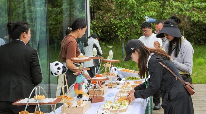Cina: centro sulle origini del panda gigante offre cultura e divulgazione (3)