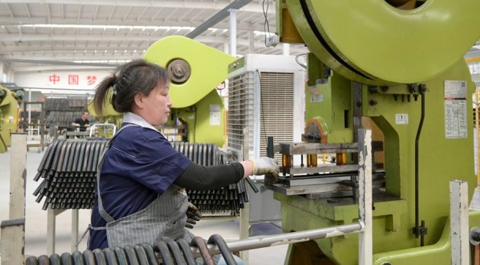 Cina: Hengshui specializzata in articoli medici e ausili per riabilitazione (2)