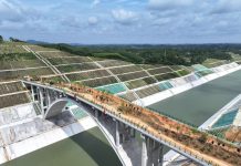 Cina: corridoio ecologico sul canale Pinglu per la fauna selvatica (1)