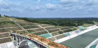 Cina: corridoio ecologico sul canale Pinglu per la fauna selvatica (1)