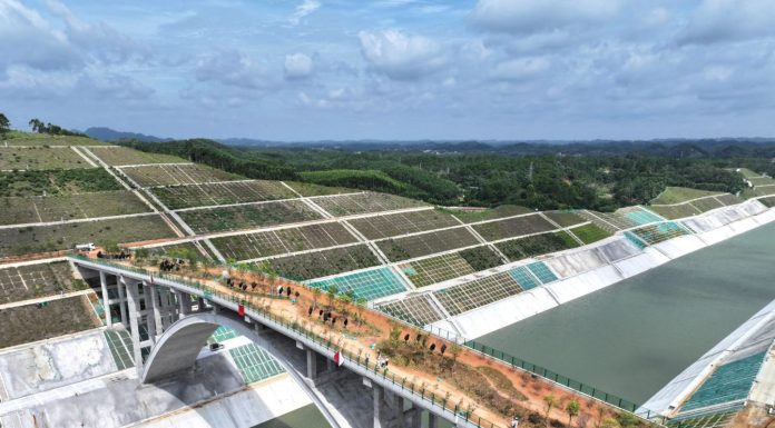Cina: corridoio ecologico sul canale Pinglu per la fauna selvatica (1)