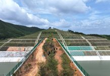 Cina: corridoio ecologico sul canale Pinglu per la fauna selvatica (2)