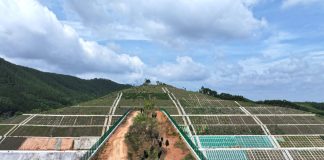 Cina: corridoio ecologico sul canale Pinglu per la fauna selvatica (2)