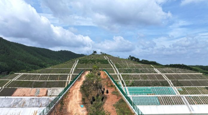 Cina: corridoio ecologico sul canale Pinglu per la fauna selvatica (2)