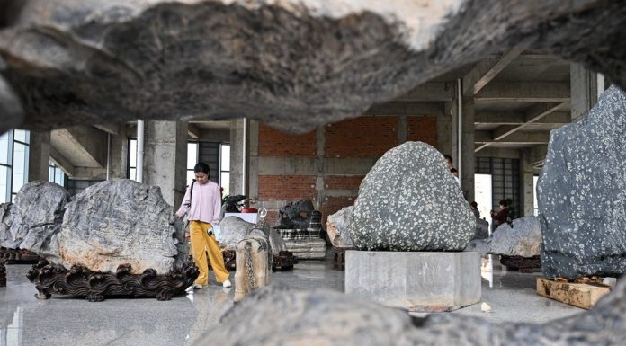 Cina: Jiangsu, inaugurato museo di pietre ornamentali (1)
