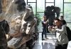 Cina: Jiangsu, inaugurato museo di pietre ornamentali (2)