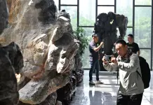 Cina: Jiangsu, inaugurato museo di pietre ornamentali (2)