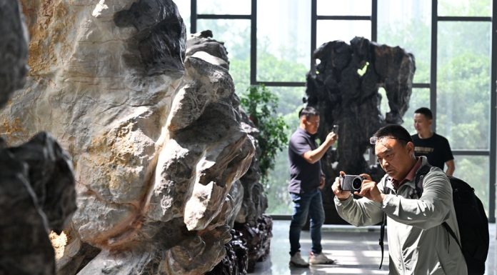 Cina: Jiangsu, inaugurato museo di pietre ornamentali (2)