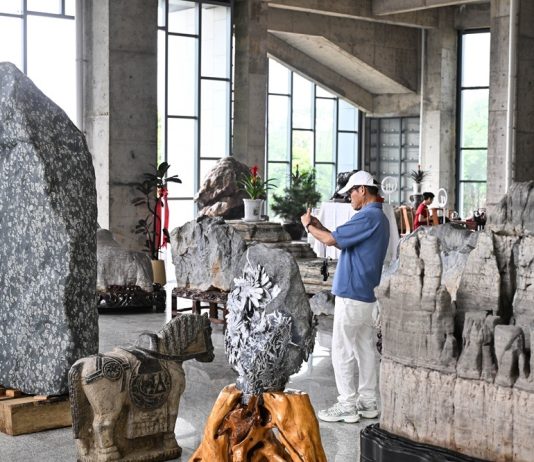 Cina: Jiangsu, inaugurato museo di pietre ornamentali (3)