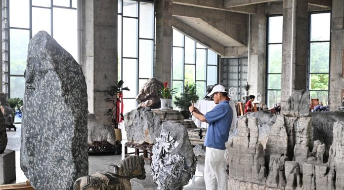Cina: Jiangsu, inaugurato museo di pietre ornamentali (3)