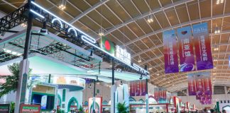 Cina: Kunming, commercio e cooperazione al centro di China-South Asia Expo (1)