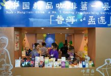 Cina: Kunming, commercio e cooperazione al centro di China-South Asia Expo (3)