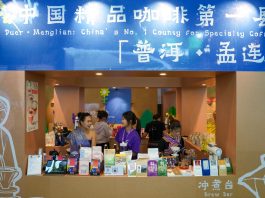 Cina: Kunming, commercio e cooperazione al centro di China-South Asia Expo (3)