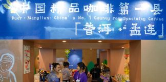 Cina: Kunming, commercio e cooperazione al centro di China-South Asia Expo (3)