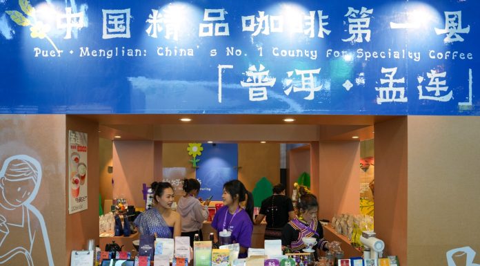 Cina: Kunming, commercio e cooperazione al centro di China-South Asia Expo (3)