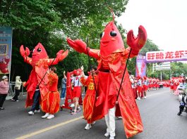 Cina: parata a tema gamberi di fiume nel Jiangsu (2)