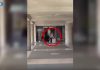 Porter abusivi, tre arresti a Venezia per estorsione e rapine ai turisti / Video