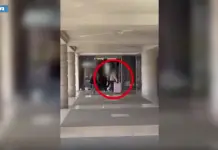 Porter abusivi, tre arresti a Venezia per estorsione e rapine ai turisti / Video