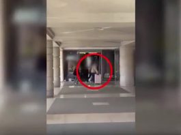 Porter abusivi, tre arresti a Venezia per estorsione e rapine ai turisti / Video