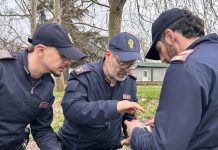 Torino, blitz antidroga nel quartiere Barriera di Milano: 15 arresti