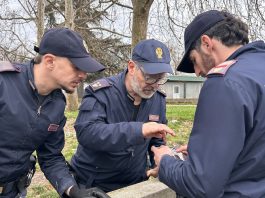 Torino, blitz antidroga nel quartiere Barriera di Milano: 15 arresti