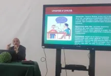 Ia e medicina, uno studio italiano valida i dati sintetici con i casi reali