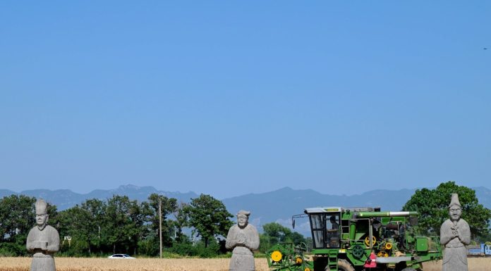 Cina: patrimonio culturale tra tutela, sviluppo e vita quotidiana