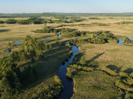 Cina: la riserva del fiume Nanweng tutela biodiversità nello Heilongjiang (1)