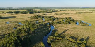 Cina: la riserva del fiume Nanweng tutela biodiversità nello Heilongjiang (1)