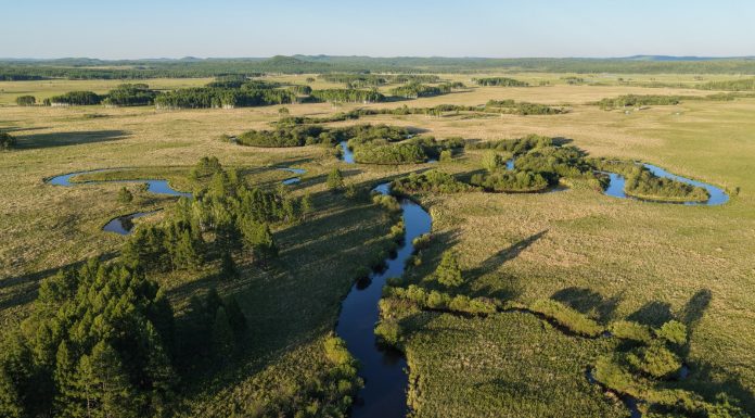 Cina: la riserva del fiume Nanweng tutela biodiversità nello Heilongjiang (1)